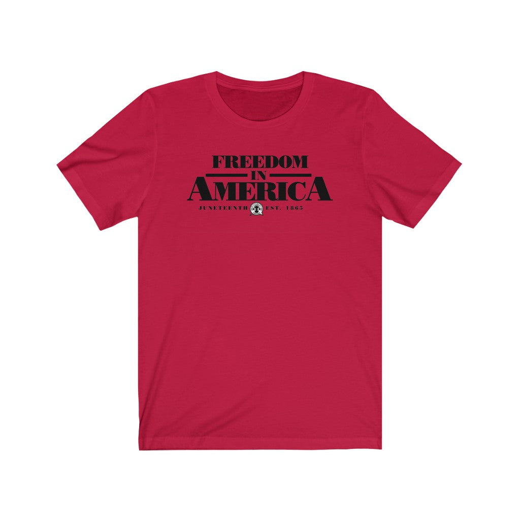 Freedom in America Juneteenth Tee